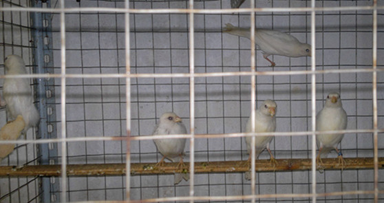 20140310613_副本.jpg