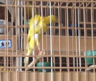 QQ图片20140321154803.jpg