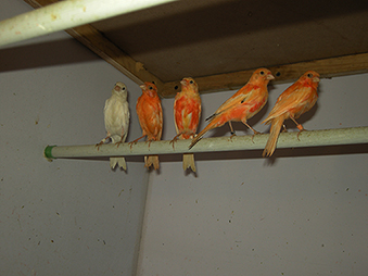 DSCN9981.JPG