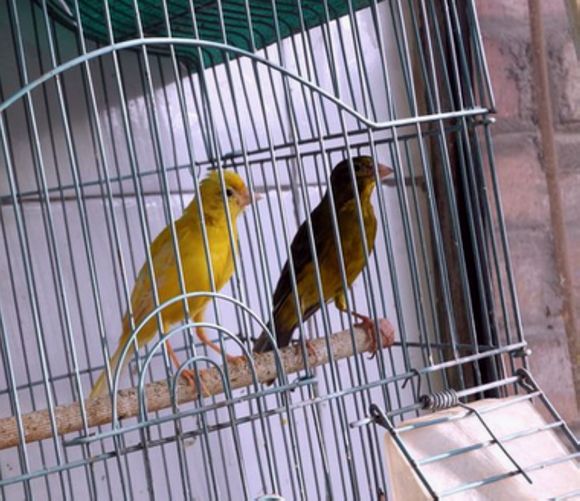 DSCN3384.JPG