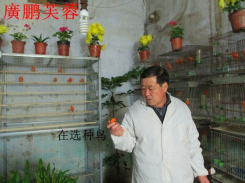 9f6fa0ec08fa513dd8ce7d833f6d55fbb3fbd963_编辑.jpg