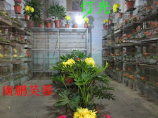 a1b1f3deb48f8c54ca34d67238292df5e2fe7fe3_编辑.jpg