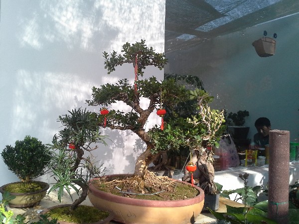 BigBull_20140308_171618.jpg