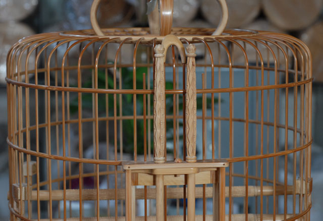 DSC_0064.JPG