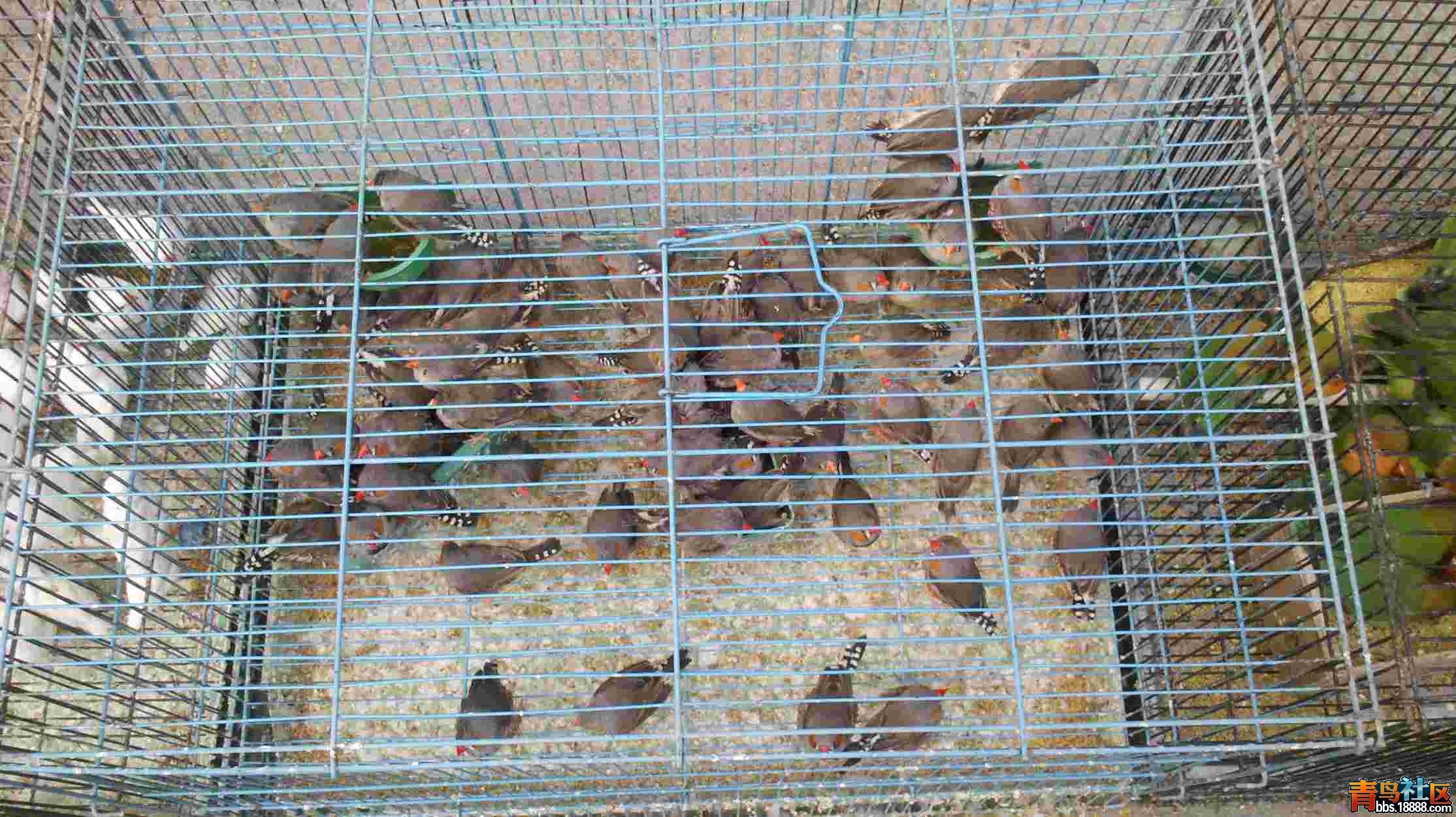 2014-03-09_10-47-04_188_副本.jpg