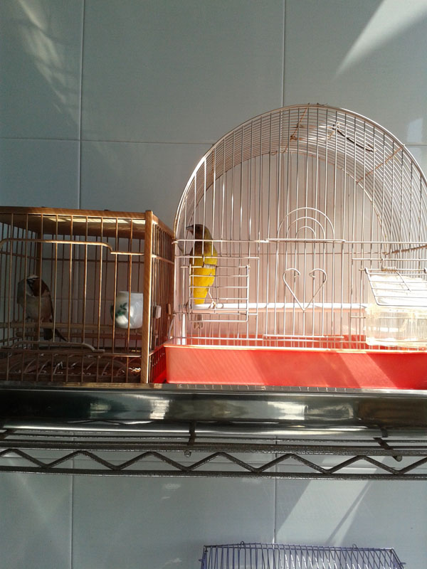 20140323_130442.jpg