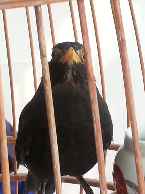 20140312_153531.jpg