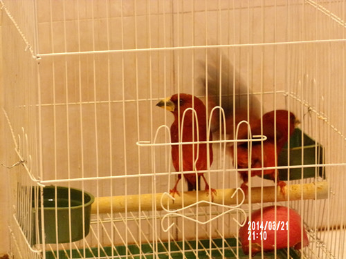 100_0630.JPG
