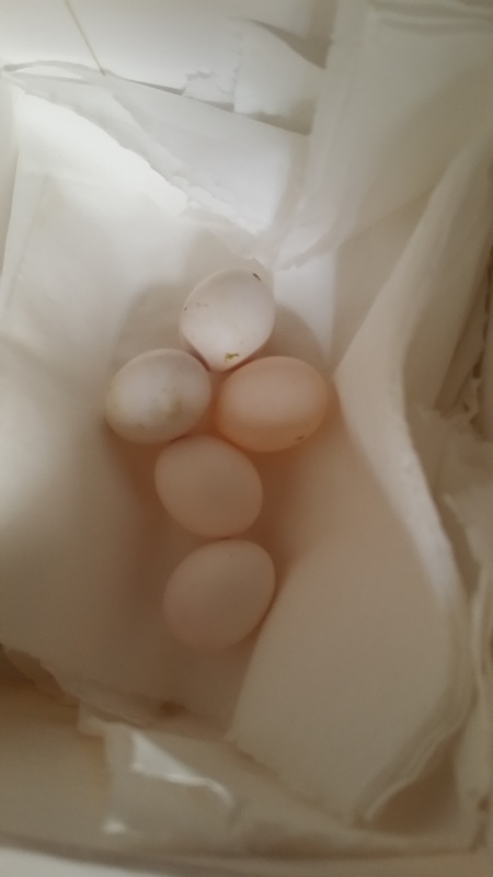 20140302_133834.jpg