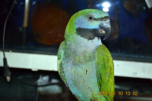 DSC_0067_副本.jpg
