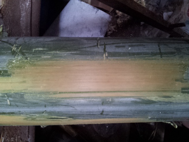 20140303_101235.jpg