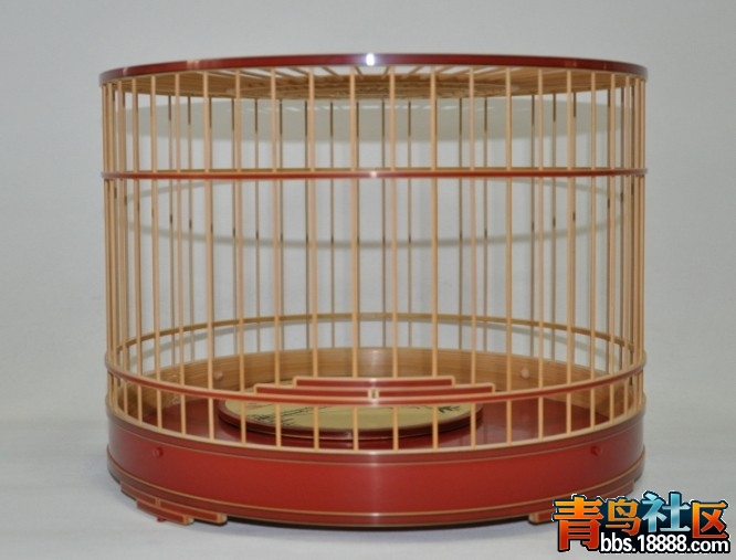 李玉新1.jpg