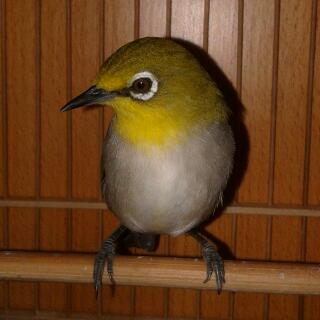 20140220_181945-1.jpg