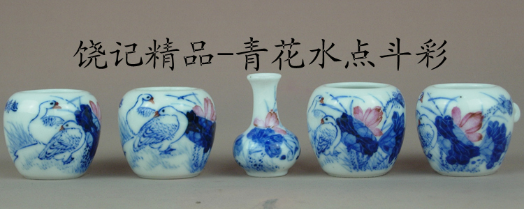 荷塘清趣_斗彩.jpg