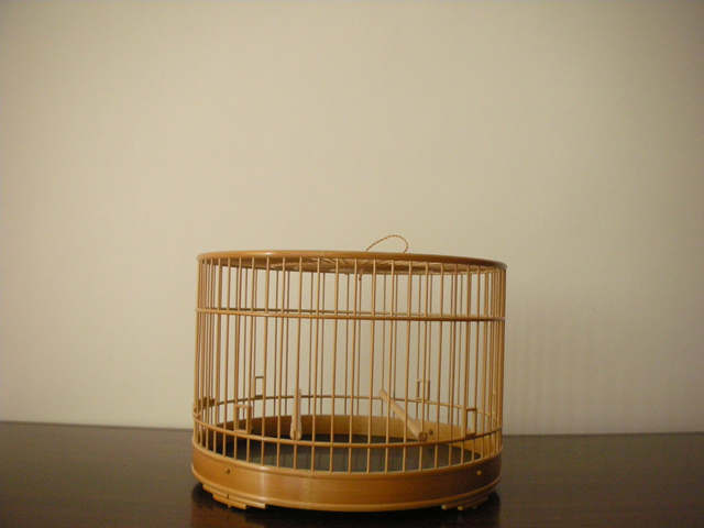 制作王纯台 (3).JPG