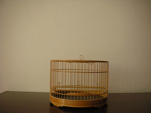 制作王纯台 (1).JPG