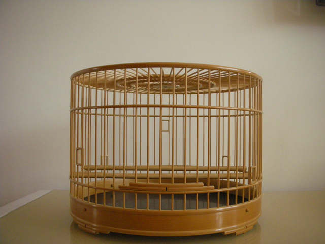 制作王纯台 (5).JPG