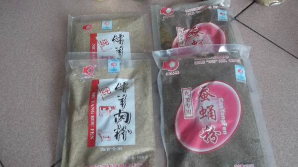 八哥 102.jpg