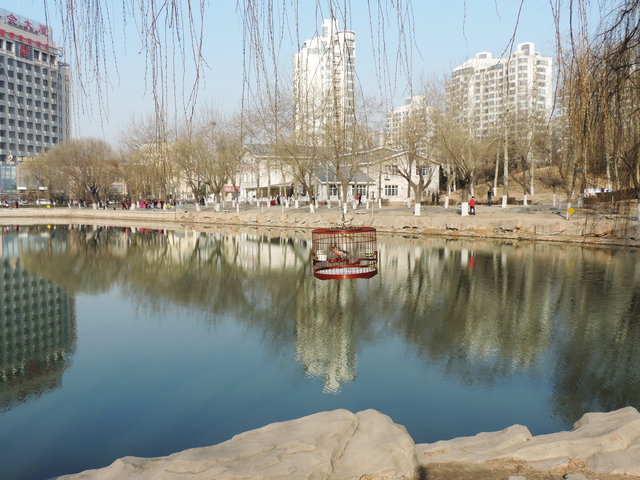 DSCN7029.JPG