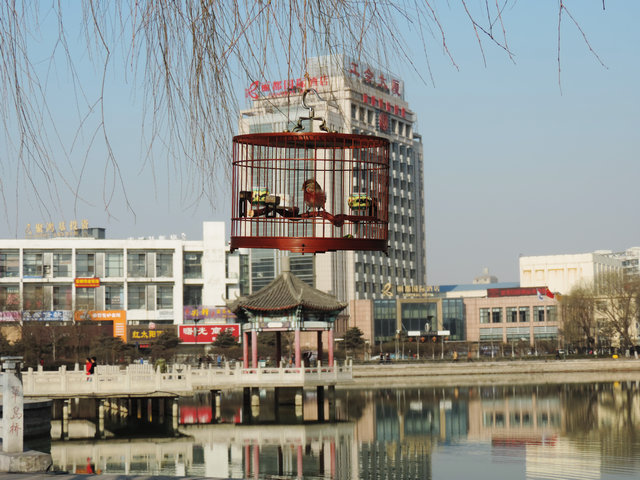 DSCN7036.JPG