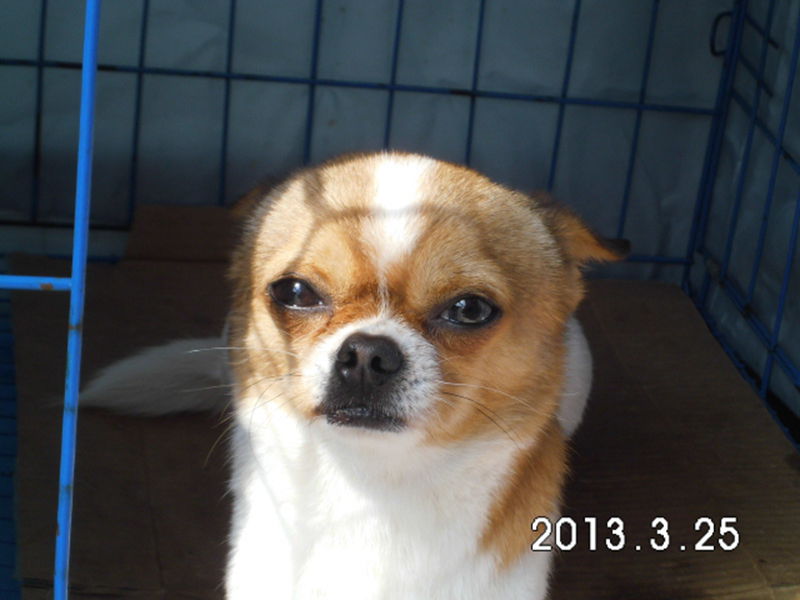 DSCI0478_副本.jpg