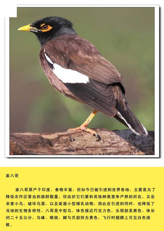 qn-040_副本.jpg