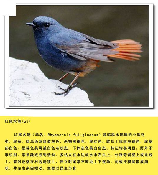 qn-021_副本.jpg