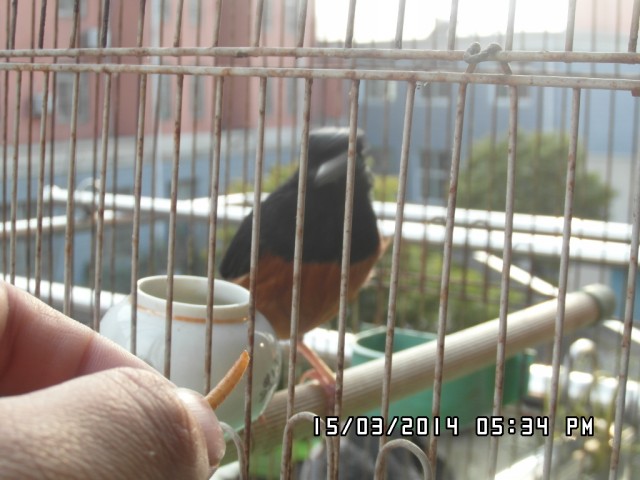 SAM_1304.jpg