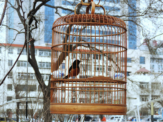 DSCN7131.JPG