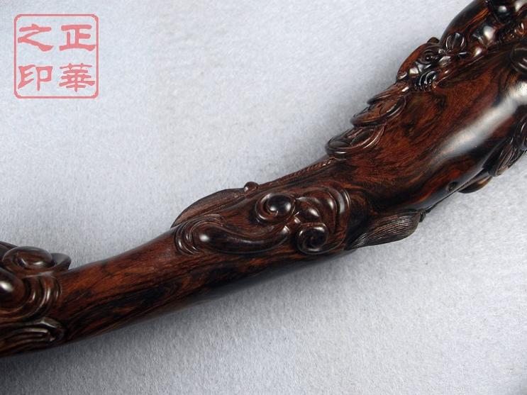 数财灵芝A (4).JPG