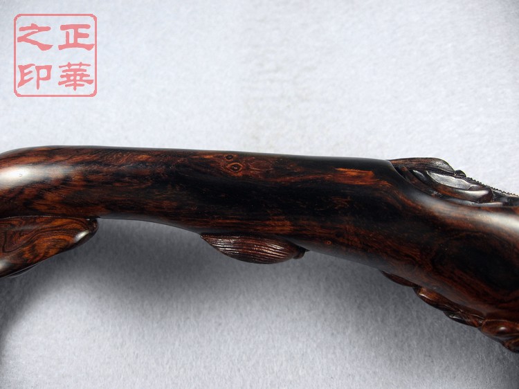 数财灵芝A (12).JPG