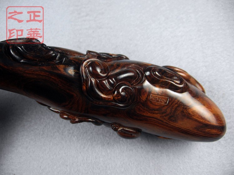 数财灵芝A (7).JPG