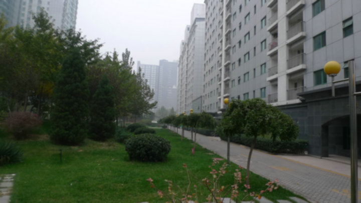 P1070463.jpg