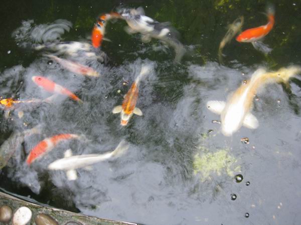 调整大小 IMG_6471.jpg
