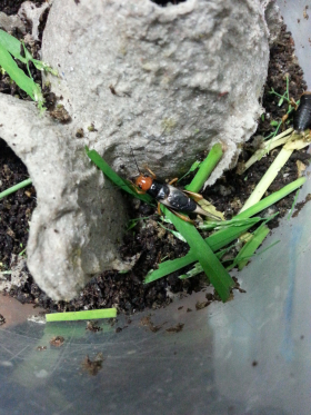 20140323_214951.jpg