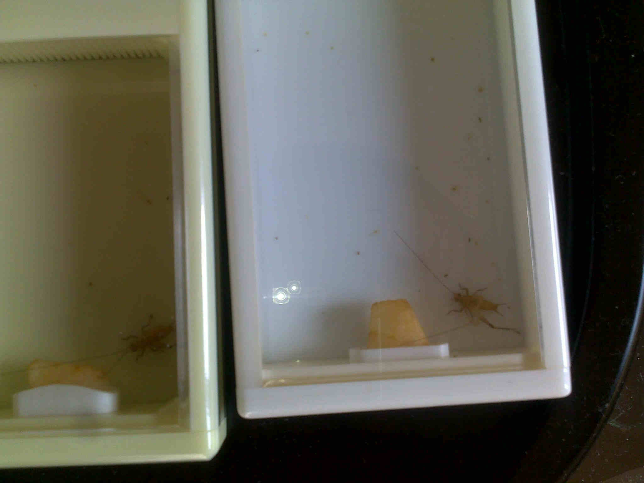 20110725228.jpg