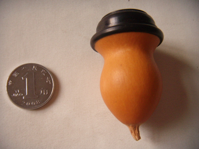 DSCN1318.JPG