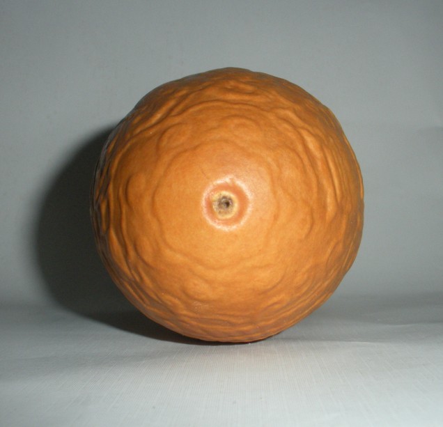 A03.jpg