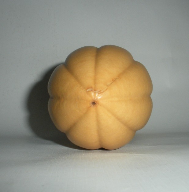 B02.jpg