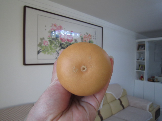 照片 010.jpg