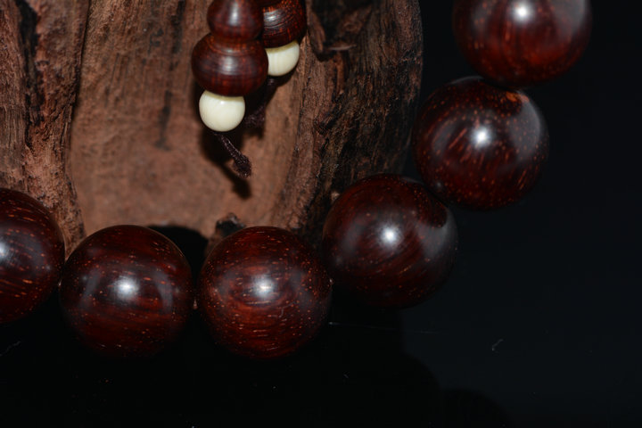 DSC_4683.JPG