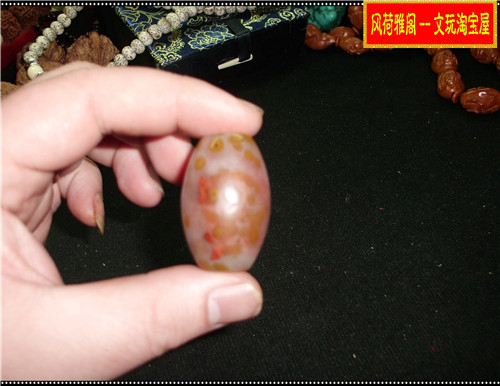 CIMG9372.JPG