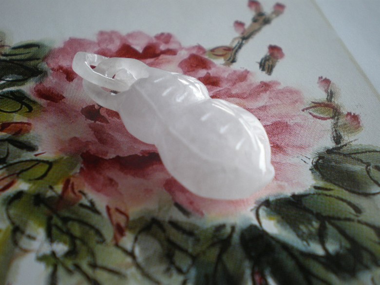 P9010143_conew1.JPG