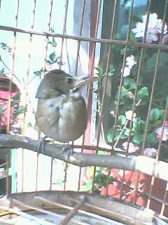 IMG0537A.jpg