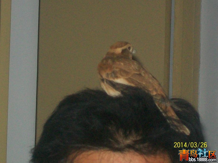 100_2216.JPG