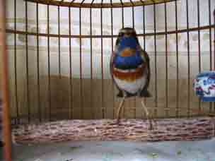 IMG_288304.jpg