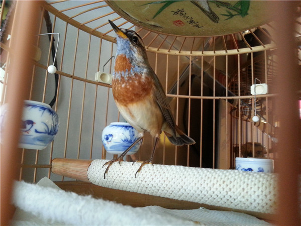 20140325_120704.jpg