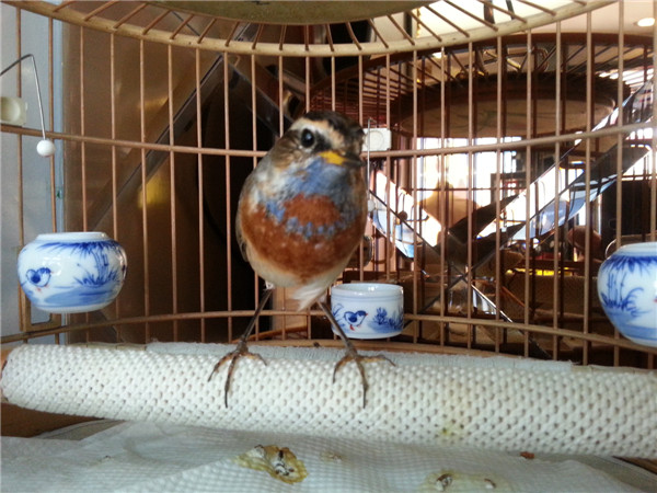 20140325_120115.jpg