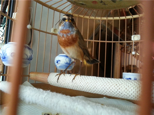 20140325_120628.jpg