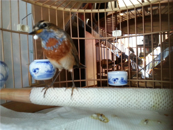 20140325_120002.jpg